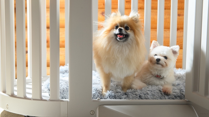 【愛犬と同室宿泊】愛犬とコテージにお泊まり！ご夕食は北海道を感じる特別コース＜道産素材会席プラン＞